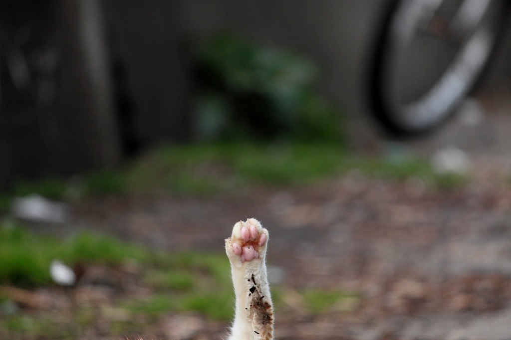 1c3b6068f3bd72e5f48b857c083c72ba_l