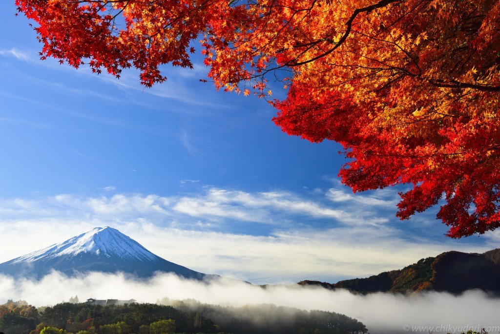 DSC4511_000011-1024x684