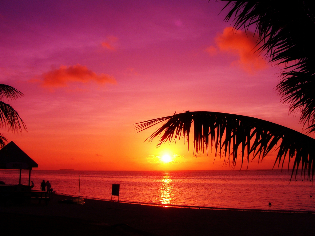 m000472_k00008983_1024-768